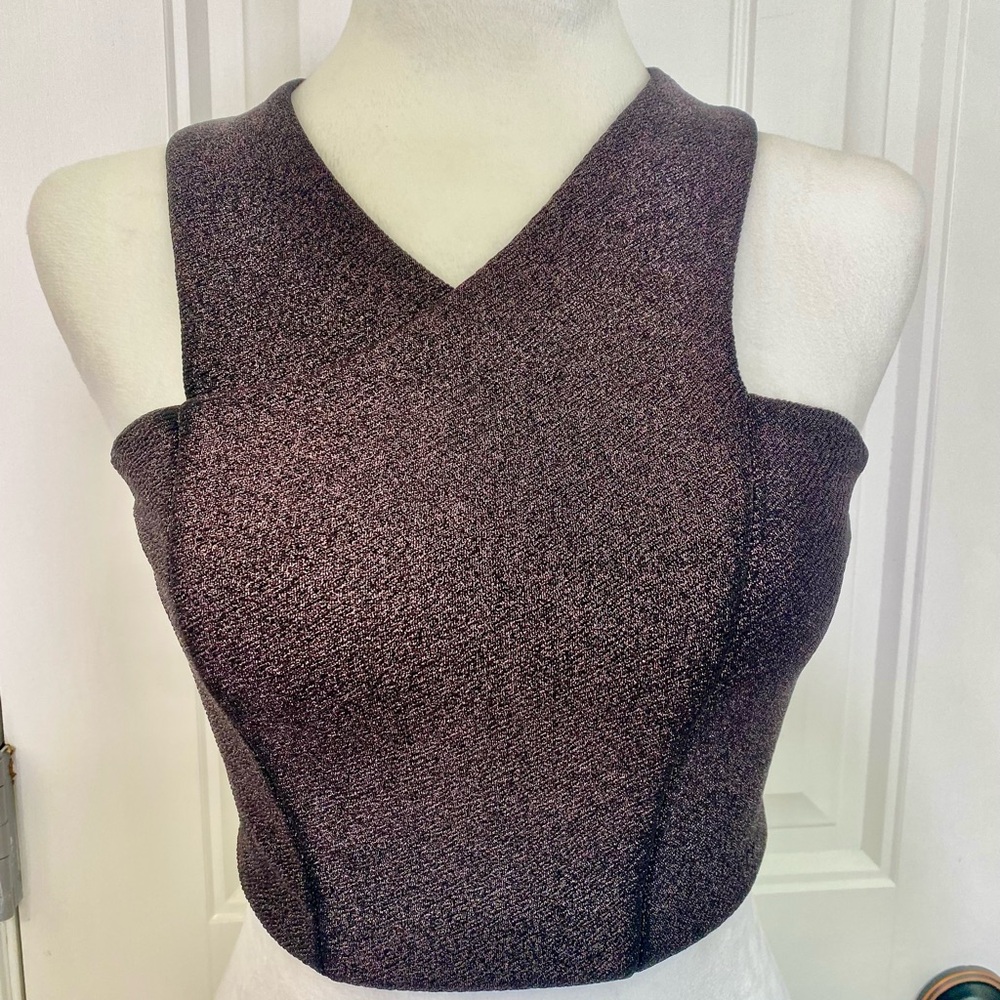 EXPRESS Womens Metallic Crop Top Size XS Zip Closure in Back
